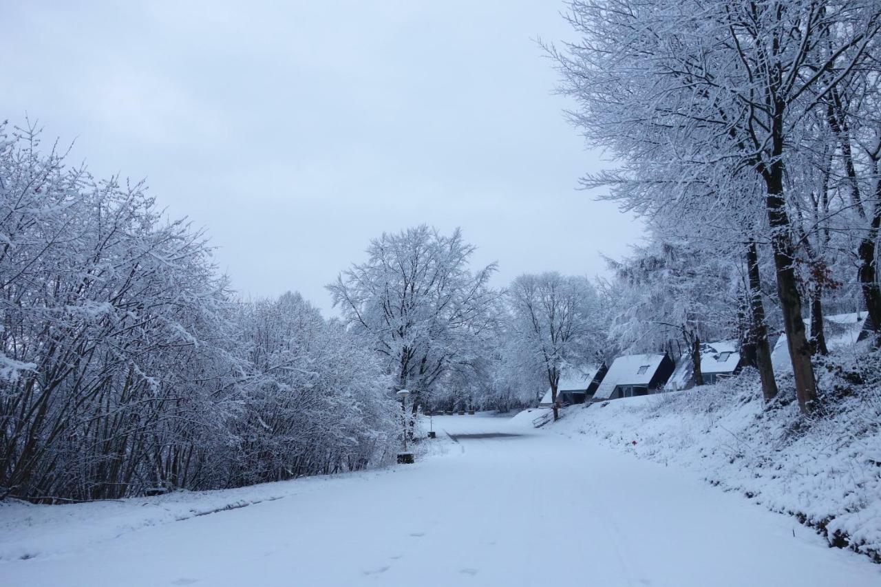 Belle Vue Villa Malmedy Bagian luar foto