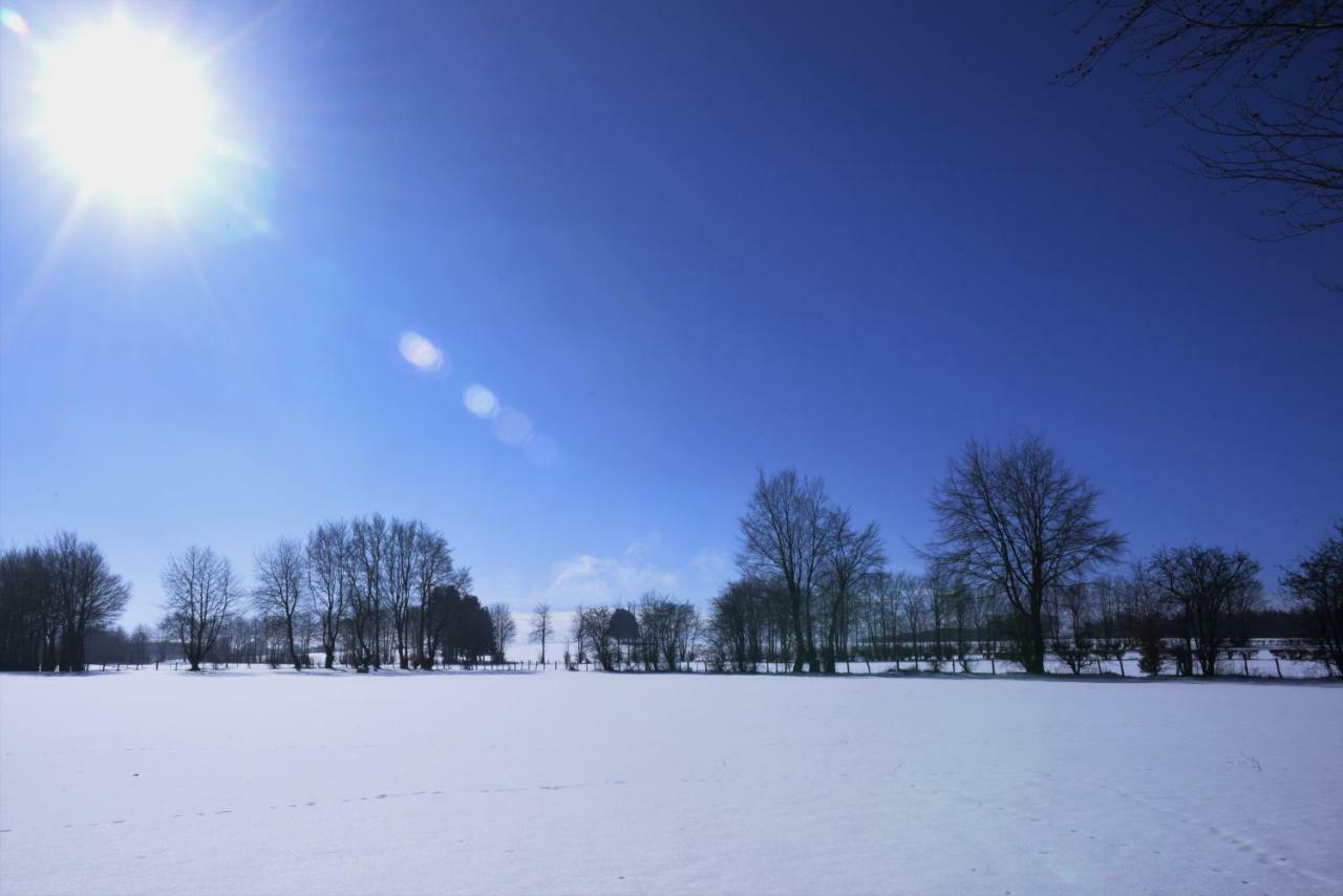 Belle Vue Villa Malmedy Bagian luar foto